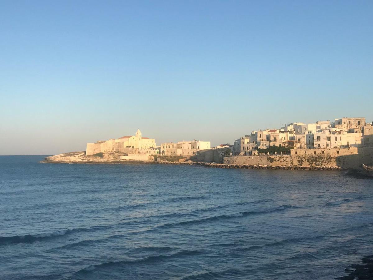 Home Sweet Home Vieste Dış mekan fotoğraf